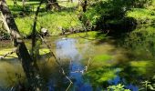 Trail Walking Soisy-sur-École - 2020-06-01 Dannemois Courances Soisy 16 km - Photo 6