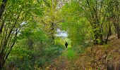 Trail Walking Gedinne - Balade à Willerzie - Gedinne - Photo 12