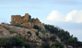 Percorso Marcia Calvi - Citadelle Calvi - Village - Notre dame de la Serra - Photo 1