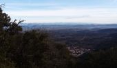 Tocht Stappen Rougiers - piegu  et St Jean  rougiers - Photo 7