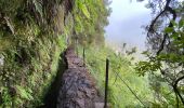 Trail Walking Santana - Levada  - Photo 2