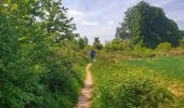 Tocht Stappen Villers-la-Ville - Balade à Sart-Dames-Avelines - Photo 2