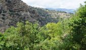 Tour Wandern Thuès-Entre-Valls - Thues les Bains Les Sources - Photo 5