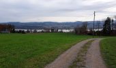 Trail On foot Zurich - Witikon - Maur Schiffstation - Photo 1