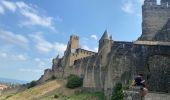 Tocht Stappen Carcassonne - Carcassonne Cité  - Photo 13