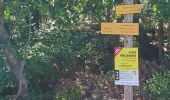 Trail Walking Aix-en-Provence - 13-bibemus_barrages_zola&bimont_10km270m - Photo 10