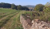 Trail Walking Ougney - Ougney - Photo 2