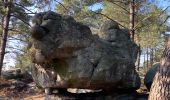 Tour Wandern Noisy-sur-École - Canche aux Merciers 01-03-23 - Photo 9