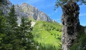 Tour Wandern Saint-Pierre-de-Chartreuse - Le charmant Som en Boucle - Photo 15