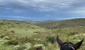 Tour Reiten Sos del Rey Católico - Bardenas jour 3 - Photo 7