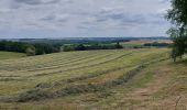 Tour Wandern Ciney - Braibant 060722 - Photo 11