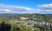 Trail Walking Bouillon - rando rochehaut 5-10-2024 - Photo 11