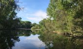 Tour Wandern Lignan-sur-Orb - Sur les rives de l'Orb - Pont de Tabarka - Pont de Cazouls - Photo 3