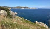 Trail Walking Calvi - Calvi : Pointe de revellata - Photo 1