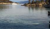 Tocht Stappen Saint-Florent - Saint Florent les agriates  - Photo 7