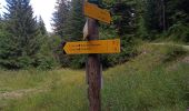 Randonnée Vélo électrique Seyne - col du Fanget Chabanon 010825 - Photo 12