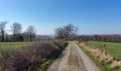 Trail Walking Durbuy - Heyd avec le chemin des crêtes  - Photo 8