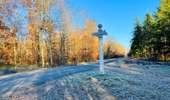 Randonnée Marche Saint-Jean-aux-Bois - en forêt de Compiègne_44_sur les Routes du Moulin et de Berne - Photo 20