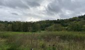 Randonnée Marche Esneux - Esneux - boucle de l’Ourthe - Photo 2