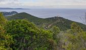 Trail Walking Rayol-Canadel-sur-Mer - Le Rayol, col de l'étoile  - Photo 1