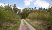 Tour Zu Fuß Lügde - Wanderweg Dreieck Nach Elbrinxen - Photo 1