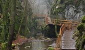 Randonnée A pied Gemeinde Würflach - Gollbaurunde (Klammrunde bei Würflach über Ruine Schrattenstein) - Photo 5