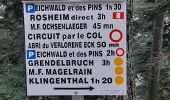 Trail Walking Rosheim - circuit du Heidenkopf - Photo 4