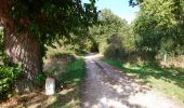 Trail Walking Saint-Martin-le-Beau - Saint-Martin-le-Beau - Nitray GR41 Azay-sur-Cher - 23.2km 185m 5h15 (40mn) - 2023 10 04 - Photo 13