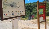 Percorso Marcia Treffort - PASSERELLES MONTEYNARD  TREFFORT a SAVEL - Photo 8