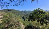 Tour Wandern Hohenfels - rando nadrin 10-09-2023 - Photo 4