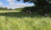 Tour Zu Fuß Malvern Hills - Martley Circular Walk - Photo 10