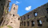 Tour Wandern Andlau - Les châteaux d'Andlau et le vignoble de Mittelbergheim. - Photo 9