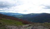 Tour Wandern Mittlach - schnepfenried tour par platzervasen - Photo 15