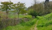 Tocht Stappen Huldenberg - Terlanen - Up and Down - Photo 3