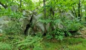 Trail Walking Chamarande - Lardy - Le Lièvre d'Or - Photo 10