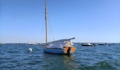 Tocht Motorboot Arcachon - Tour de l'île aux Oiseaux - Photo 18