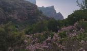 Randonnée Marche La Ciotat - La Ciotat le sémaphore  - Photo 2