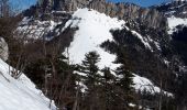 Excursión Senderismo Saint-Christophe-sur-Guiers - La Ruchere - Col de l'Allienard - Photo 10