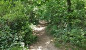 Trail Walking Incourt - Sart Risbart (Incourt) - Photo 9