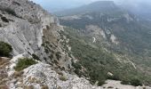 Tour Wandern Pourcieux - Crêtes du Mont Aurélien - Photo 7