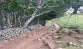 Tour Wandern Nasbinals - Montgros - st chely d’aubrac - Photo 2