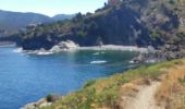 Trail Walking Portbou - Portbou le sentier des calanques - Photo 2