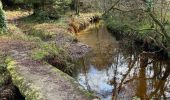 Tour Wandern Poullaouen - Huelgoat Rando pittoresque - Photo 2