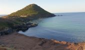 Trail Walking Ajaccio - Les iles Sanguinaires. Corse - Photo 12