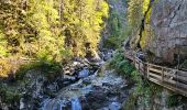 Randonnée Marche Les Houches - J6 - Gorges de la Diosaz - Photo 7