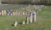 Tour Zu Fuß Markt Nordheim - Wanderweg Blauer Tropfen / Markt Nordheim - Bullenheim - Photo 2