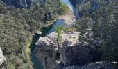 Randonnée Marche Berrias-et-Casteljau - Gorges du Chassezac - Photo 20