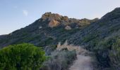 Tocht Stappen Ajaccio - Les iles Sanguinaires. Corse - Photo 4