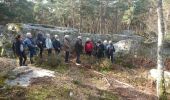 Trail Walking Noisy-sur-École - noisy sur École  - Photo 8