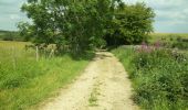 Tocht Te voet Tewkesbury - Windrush Way - Photo 8